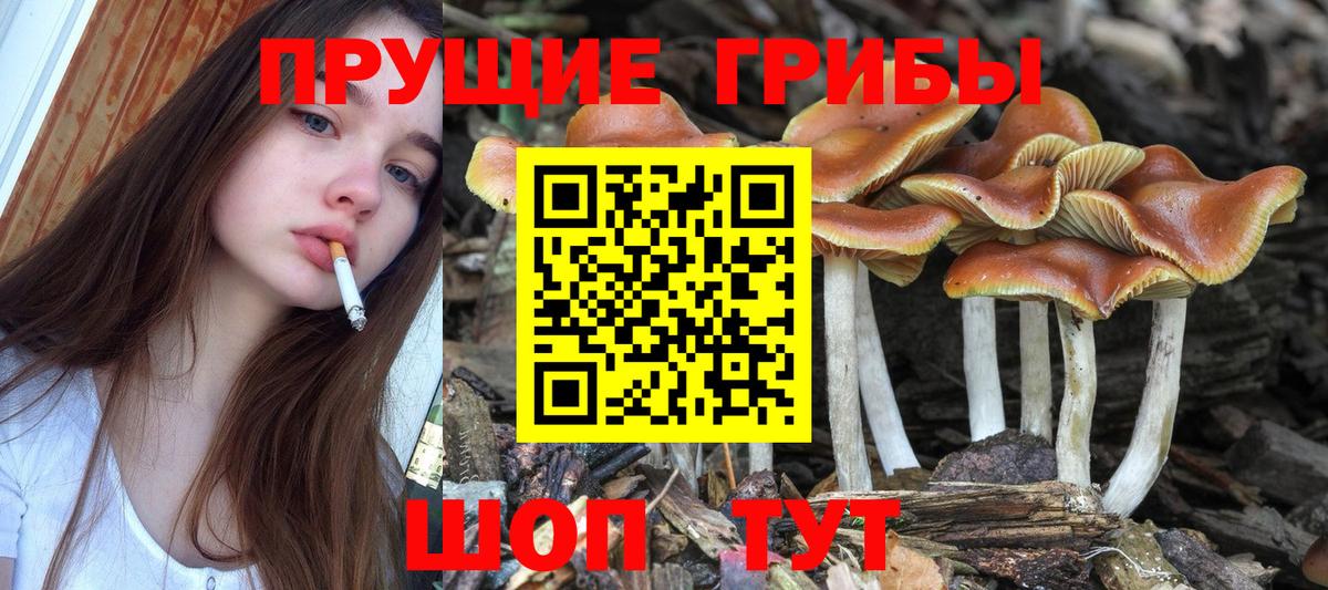 Псилоцибиновые грибы ЛСД  Вход с VPN  Среднеуральск 